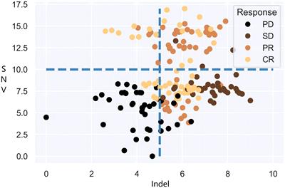 TMBserval: a statistical explainable learning model reveals weighted tumor mutation burden better categorizing therapeutic benefits